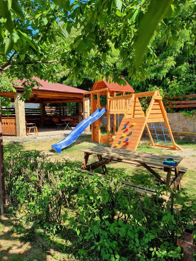 Pensiunea Moldova Пьятра-Нямц Экстерьер фото